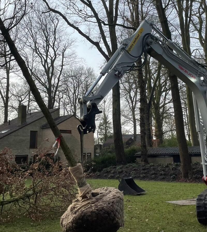 Boomverplanting in tuin