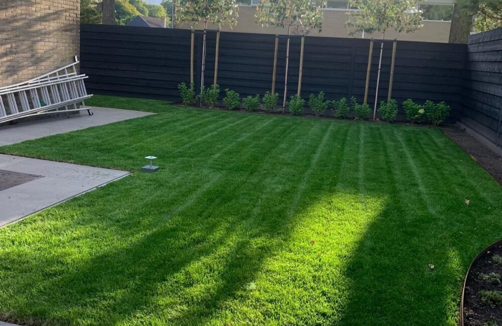 427524f6-eaf7-4ef6-a6b0-38581e27f6dd