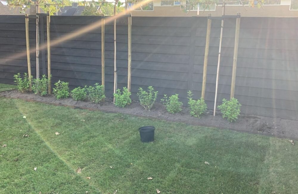 9a1a8a27-a558-4e43-bcc7-b2504503c03a